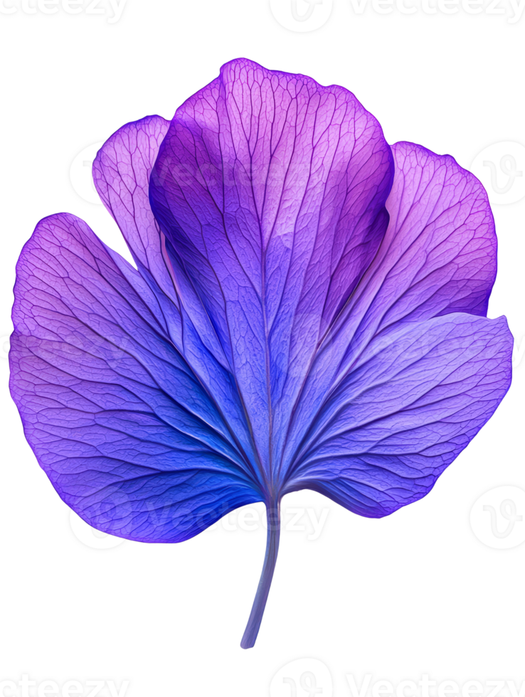 vibrant purple leaf with intricate veins and delicate texture png
