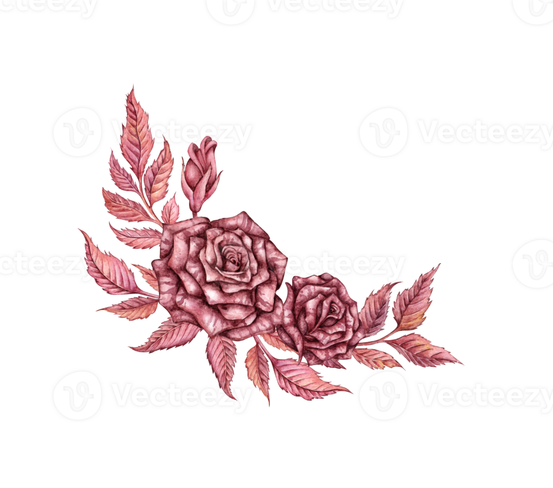 Rose with leaves and buds burgundy gothic watercolor illustration. Halloween or Day of the Dead botanical decoration isolated from background. Design concept for poster, png