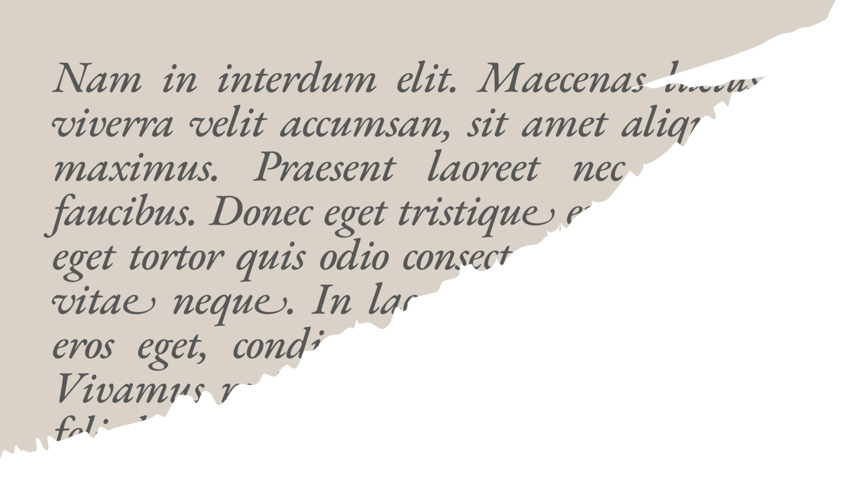 Torn Paper with Text Lorem Ipsum png