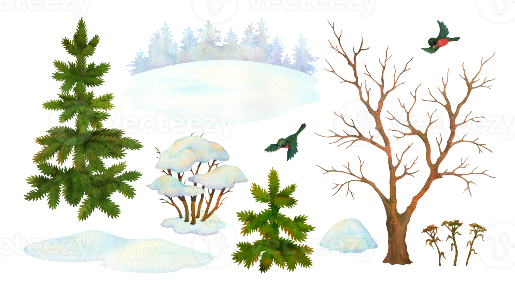 Set of watercolor cartoon nature elements. Winter landscape constructor. Isolated leafless tree, bush, fir, snowdrift, bullfinch, coniferous forest silhouette for season background or scene creating png