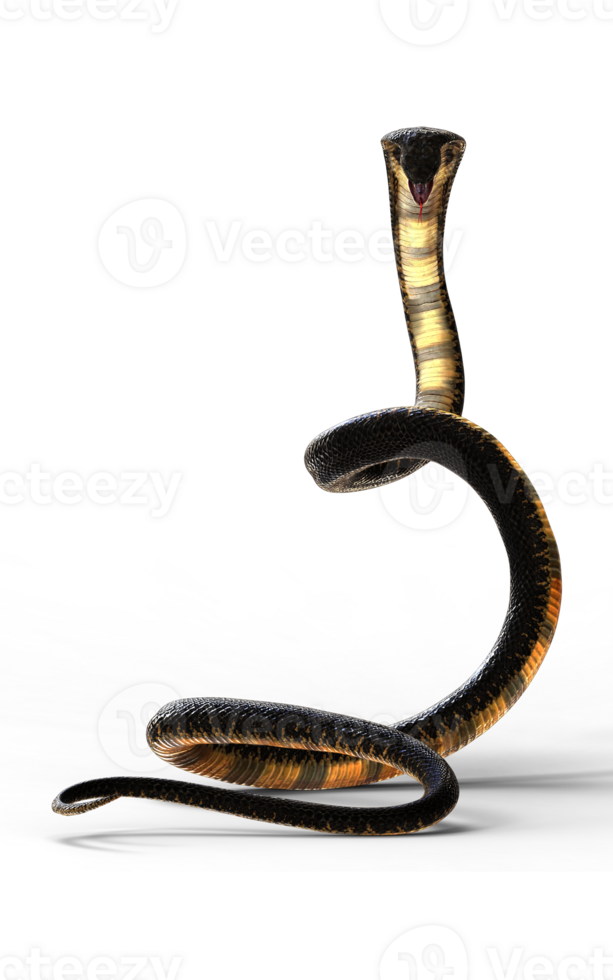 3d Illustration of The Majestic Cobra Elegance and Danger isolate background png