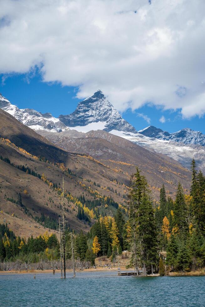 snow mountains,blue waters, seabuckthorn fir and sunshine of the outdoor natural landscape forest in sigucuo scenic spot of Siguniang mountain in Aba Prefecture, Sichuan photo
