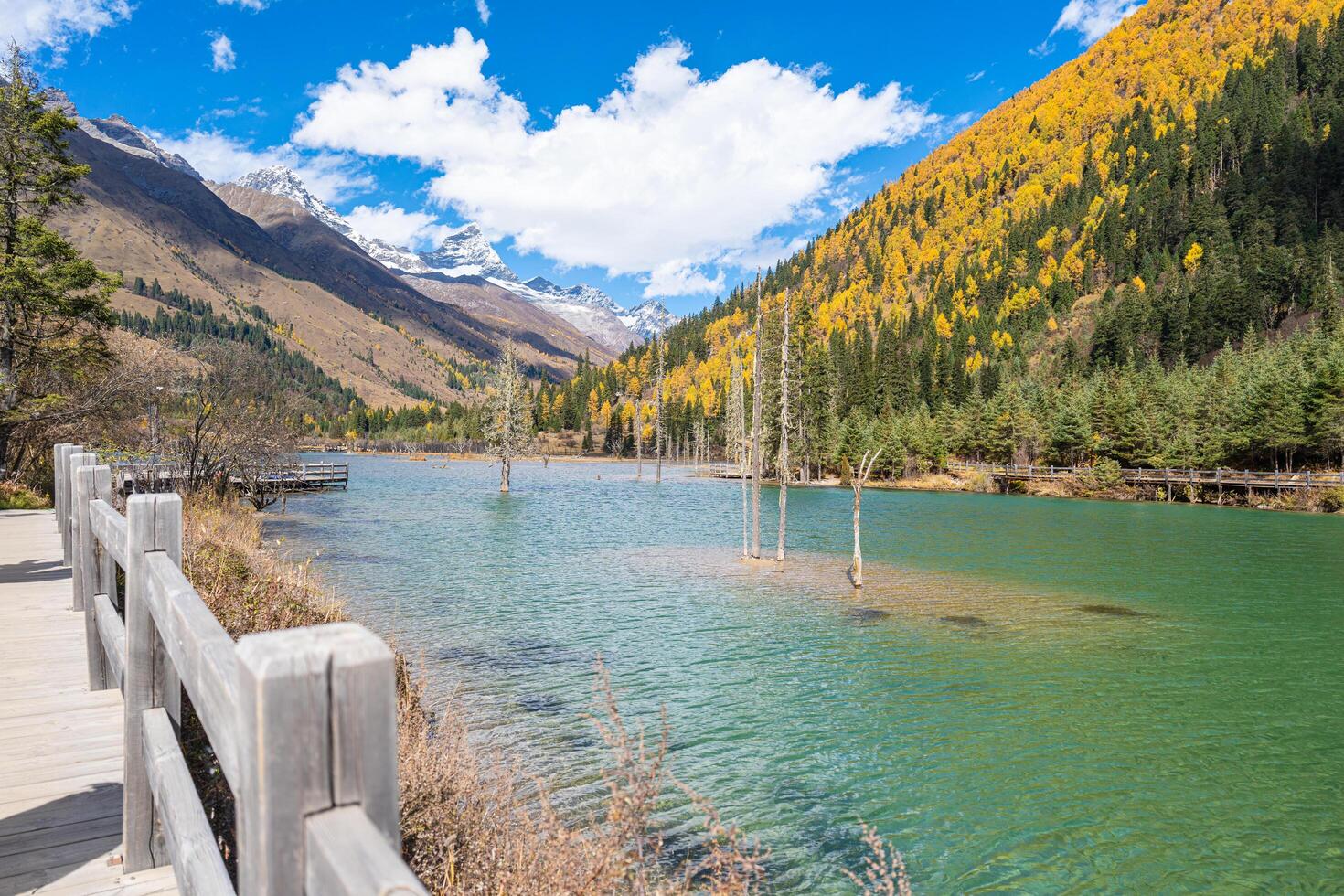 snow mountains,blue waters, seabuckthorn fir and sunshine of the outdoor natural landscape forest in sigucuo scenic spot of Siguniang mountain in Aba Prefecture, Sichuan photo