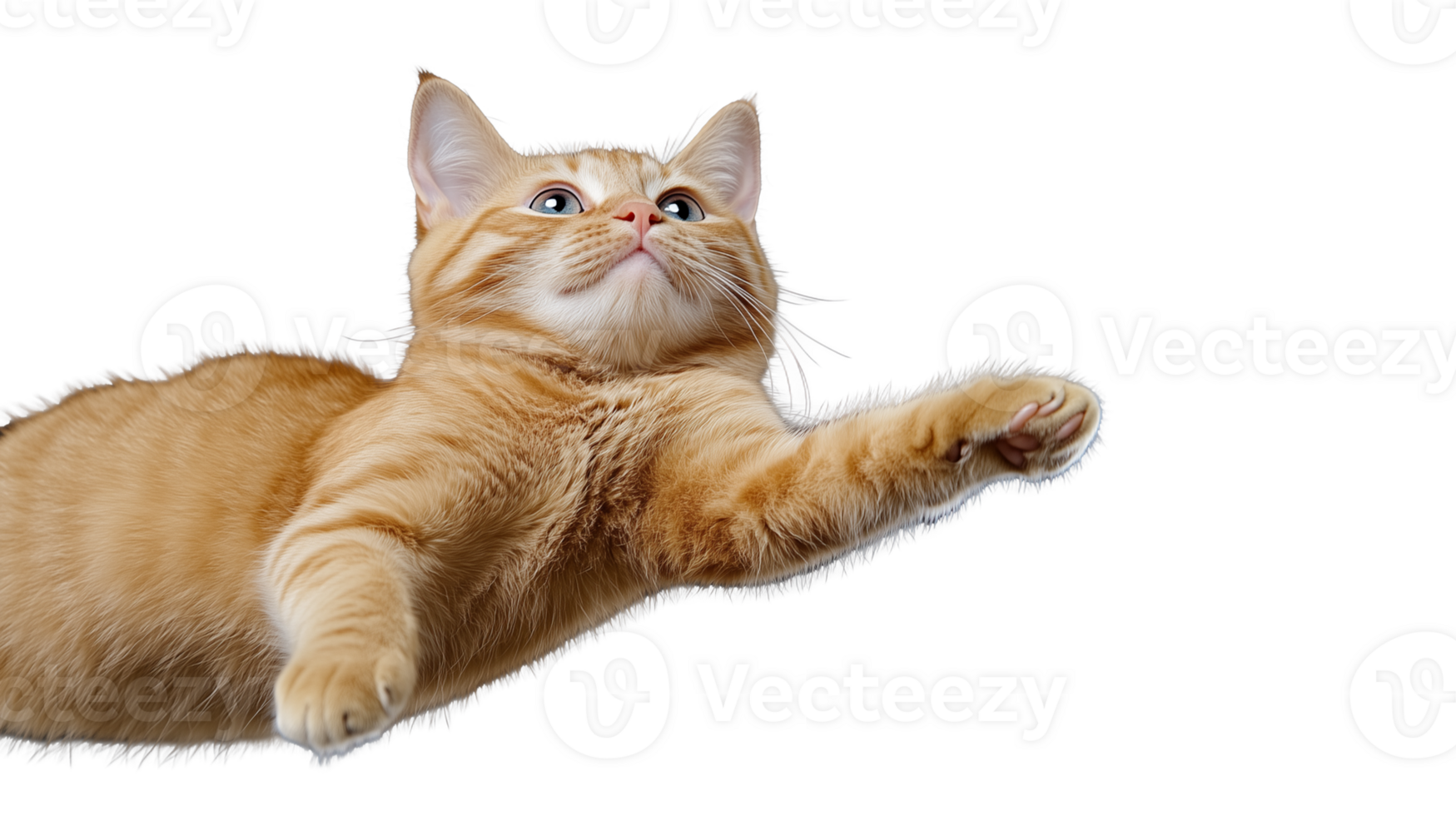 Playful orange cat jumping in mid-air on transparent background png
