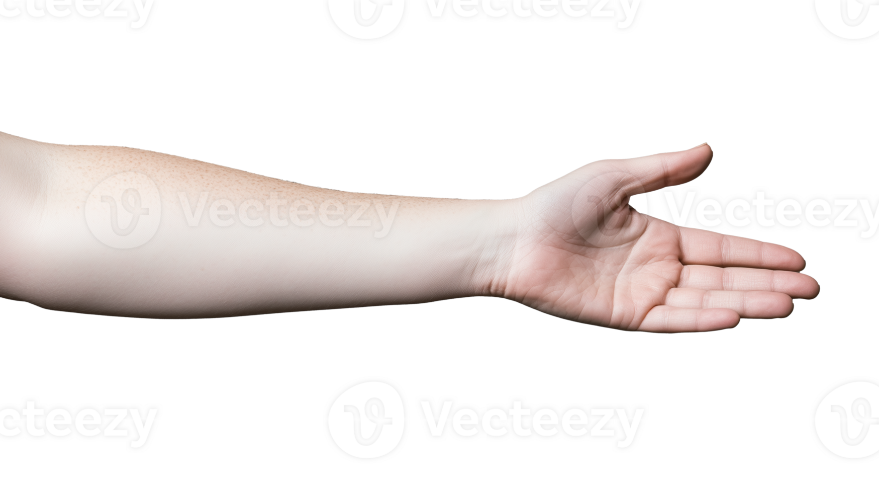Outstretched human hand with open palm on transparent background png