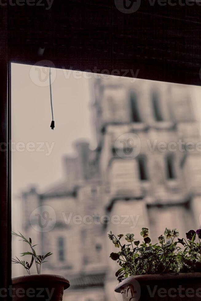Window View with with a Gothic Cathedral in background and Potted Plants in HDR photo technique