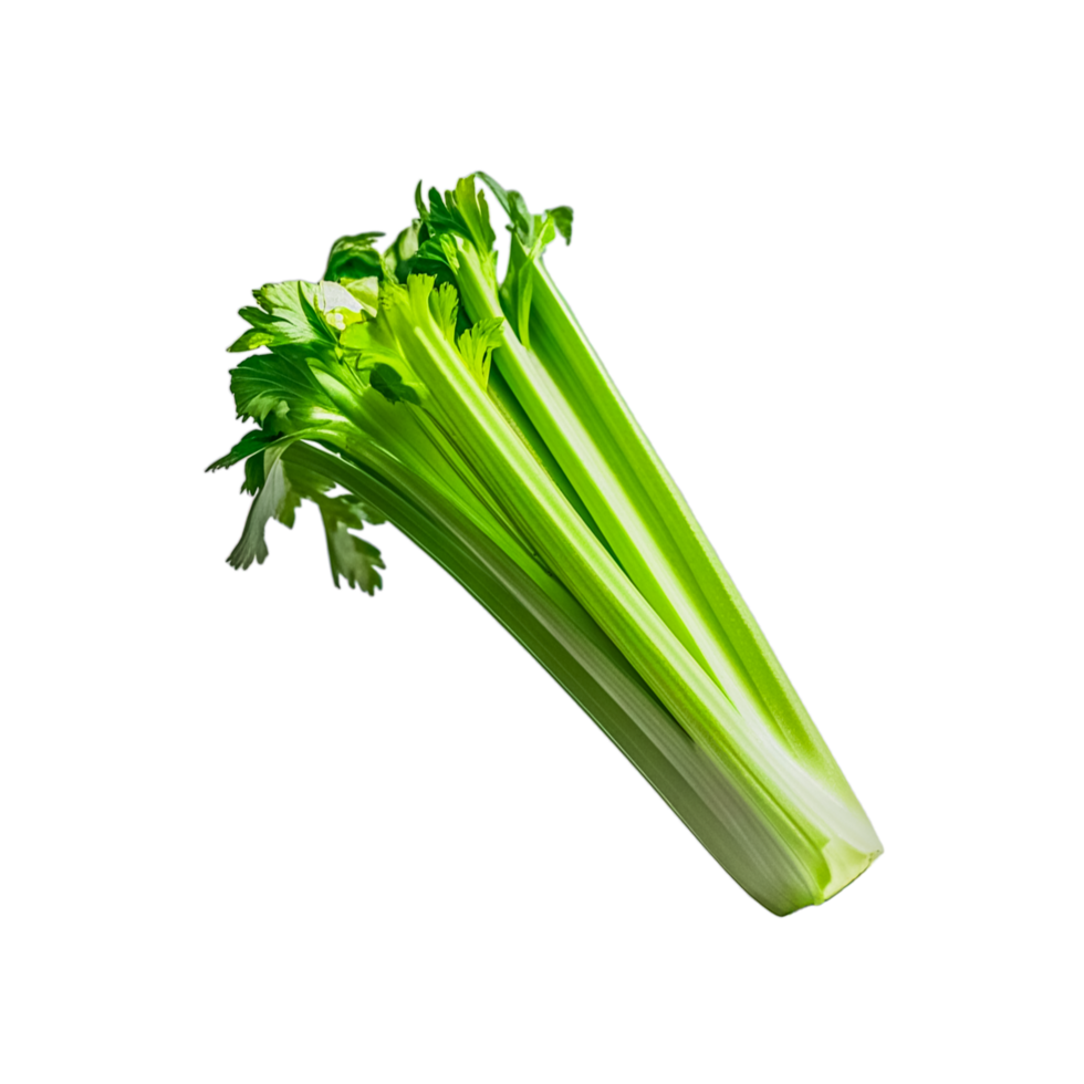 Green fresh celery vegetables png