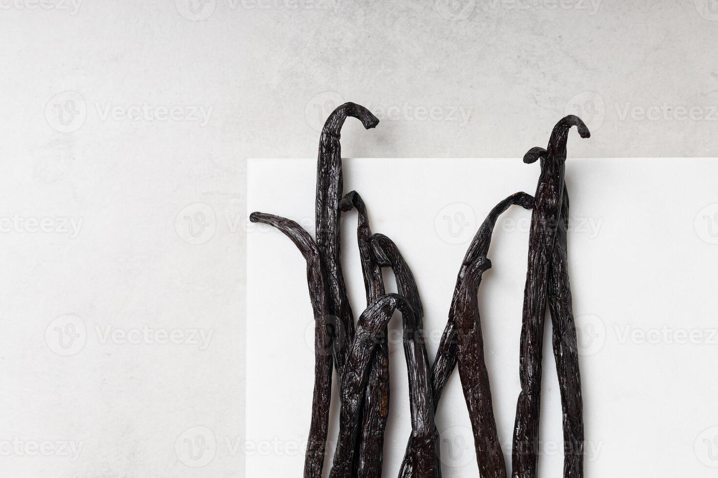 Vanilla beans on grey background photo