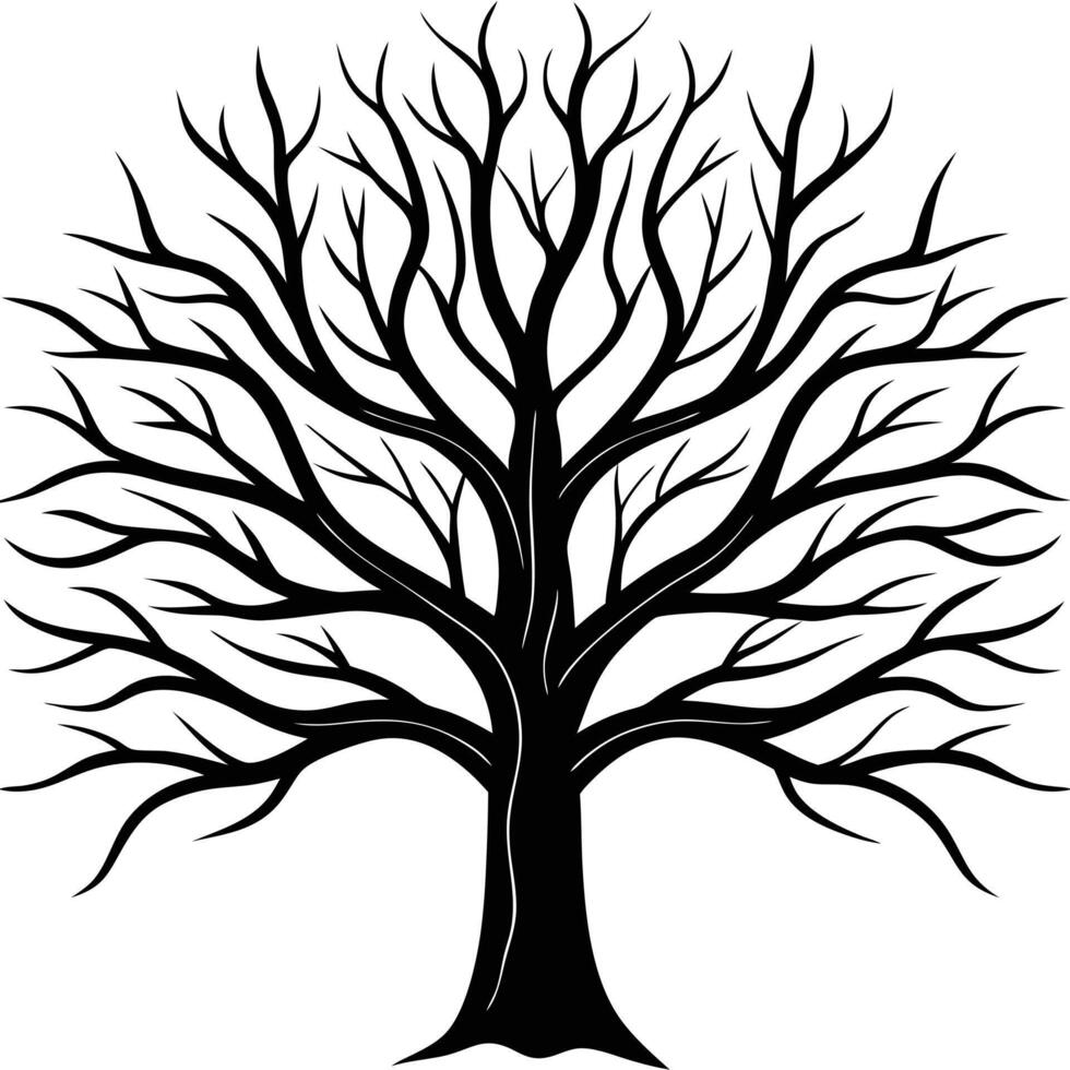 Silhouette of Tree without leaves vector