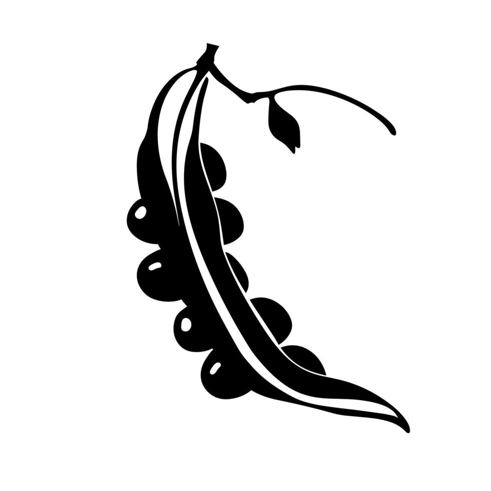 Black and white illustration of a pea pod with peas inside vector