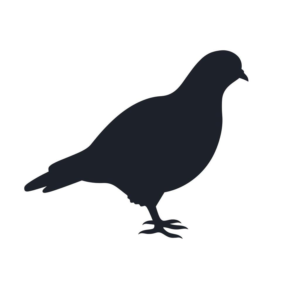 Silhouette of a pigeon standing quietly on a flat surface vector