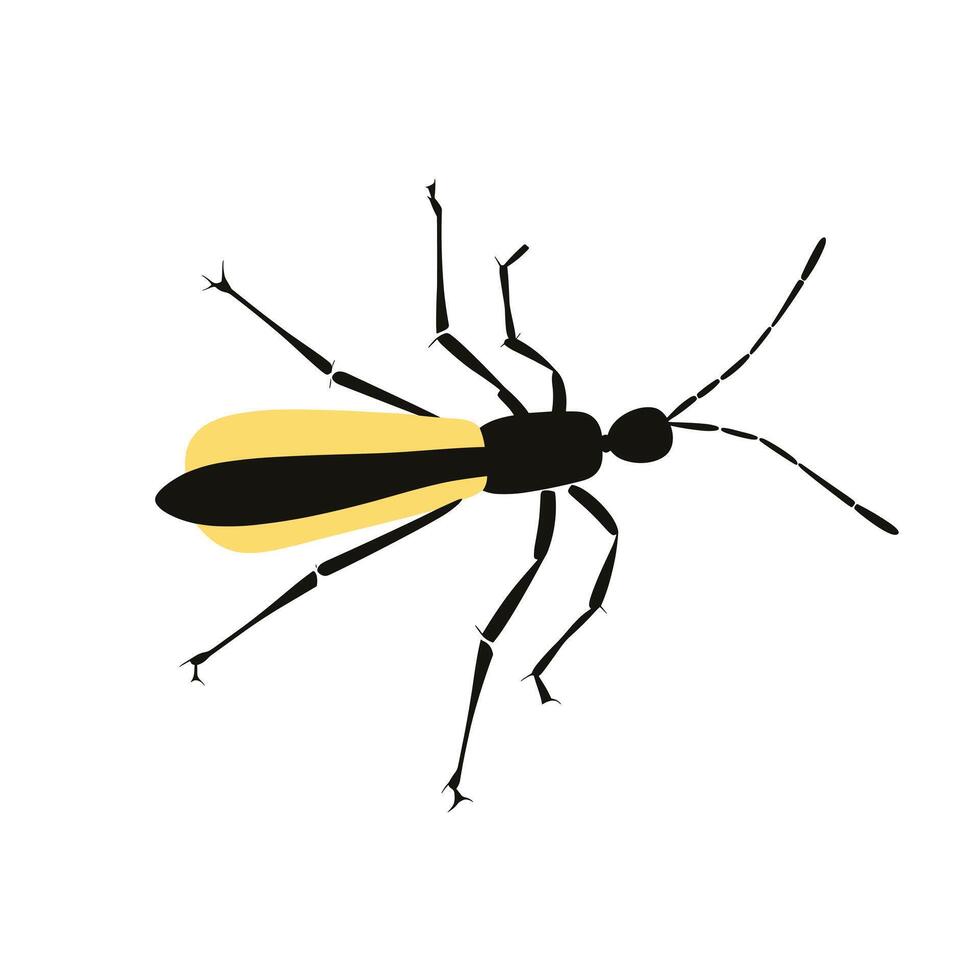 Insect with black body and yellow wings captured in a simple design vector