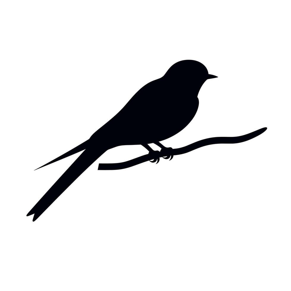 Silhouette of a small bird perched on a branch against a plain background vector
