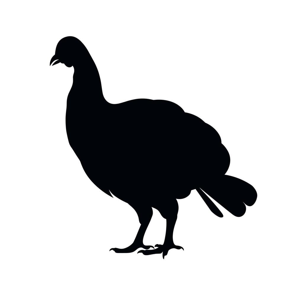 Silhouette of a turkey standing against a plain background in a minimalistic design vector