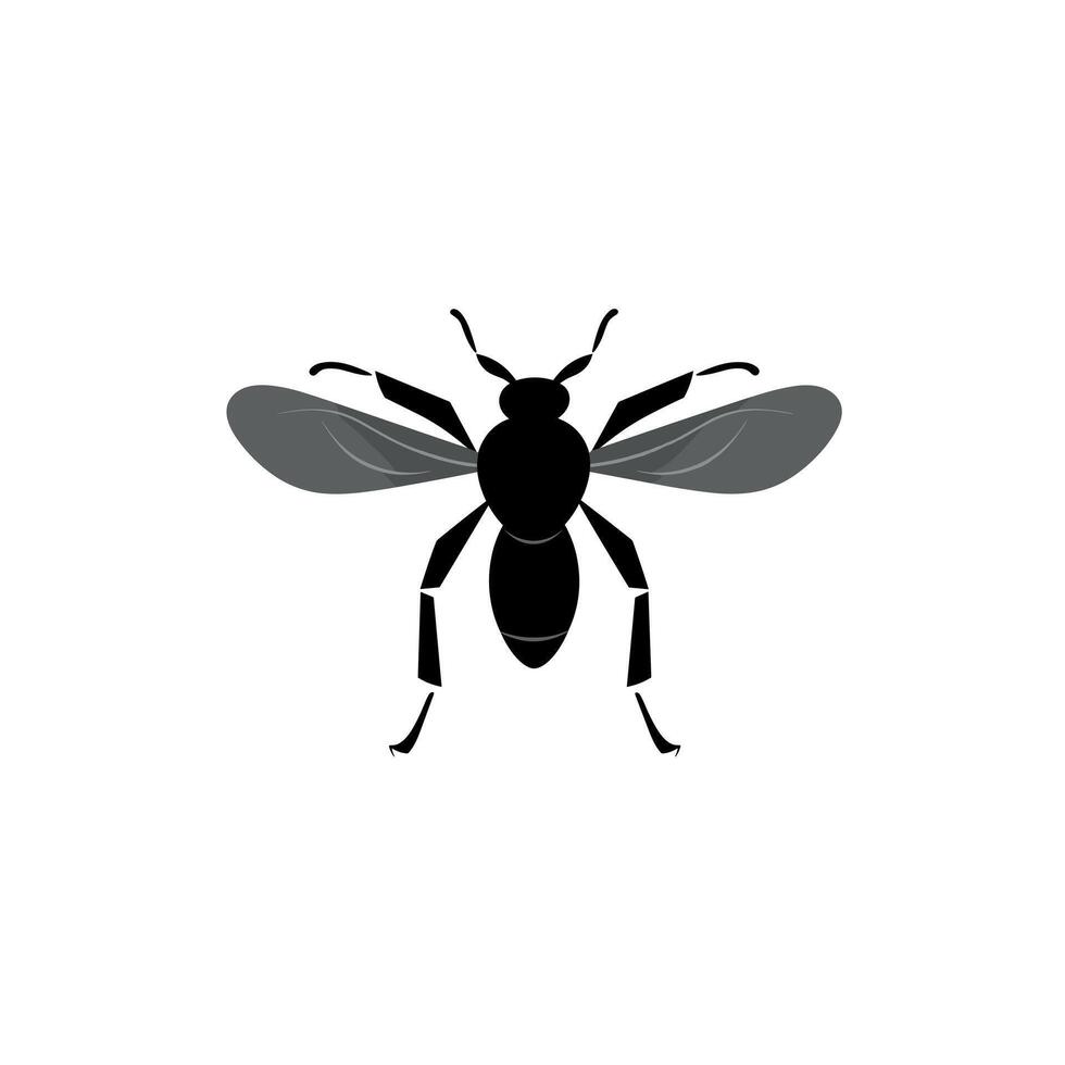 Black and gray insect with wings on a light background in a natural environment vector
