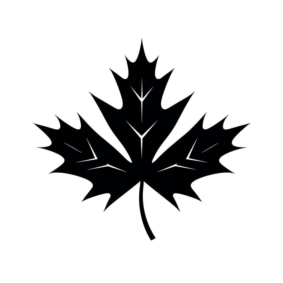 Black silhouette of a maple leaf with distinct serrated edges and veins stands out vector