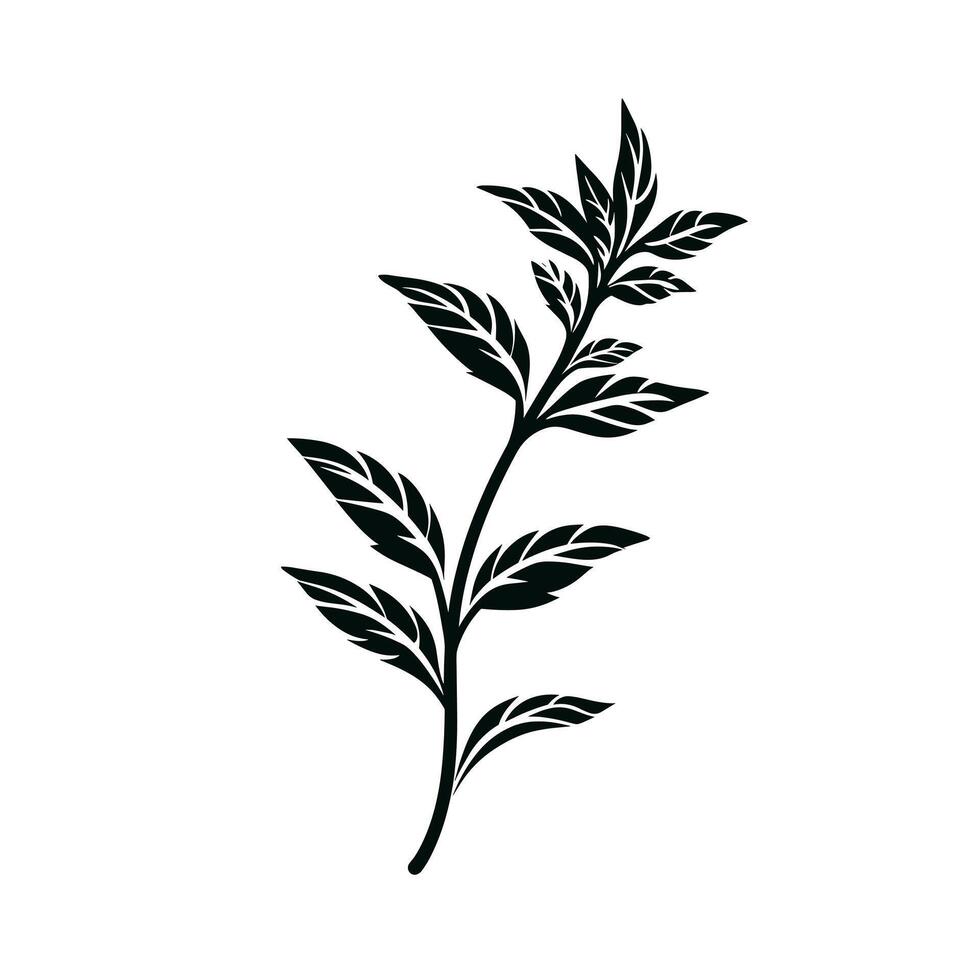 Detailed black silhouette of a leafy branch against a plain background vector