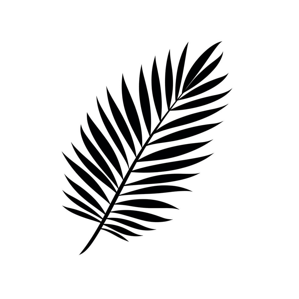 Black silhouette of a tropical palm leaf on a plain background vector