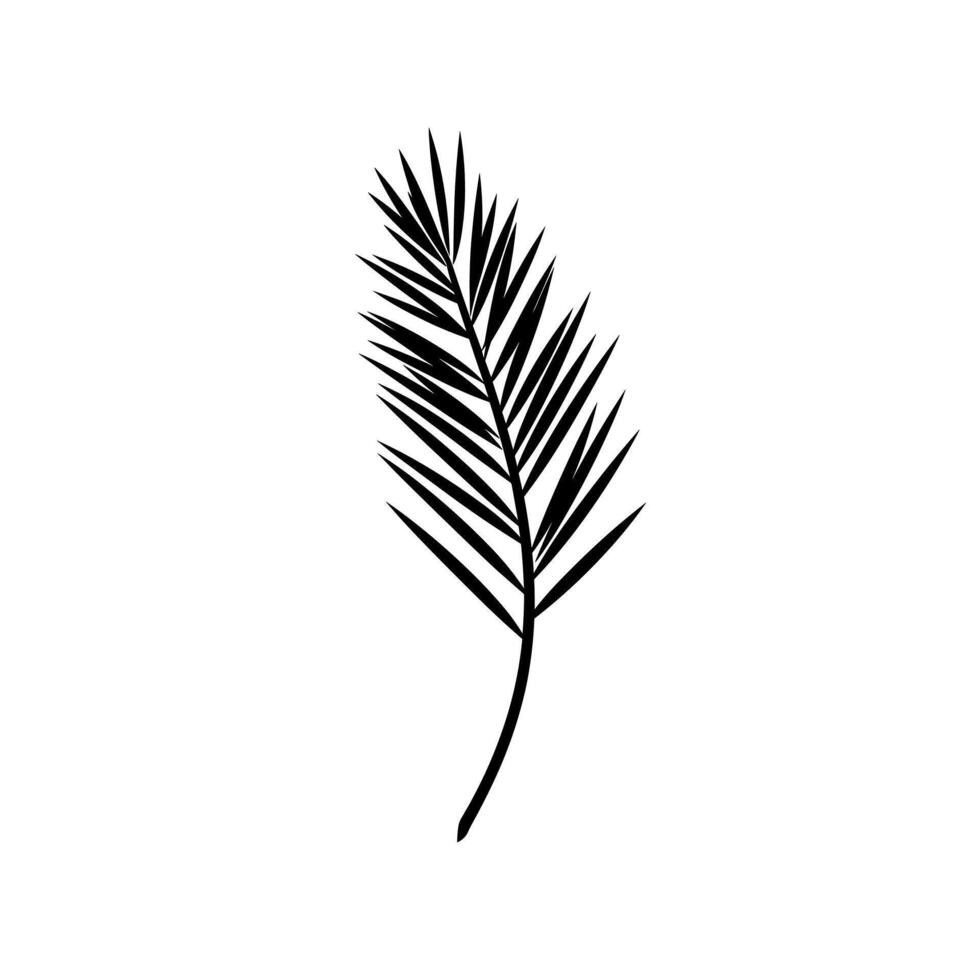 Palm leaf silhouette on a clean white background showcasing natural elegance vector