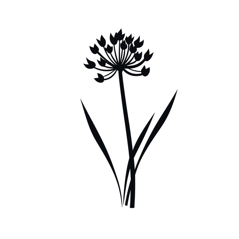 Black silhouette of a flowering plant with elongated leaves on a white background vector
