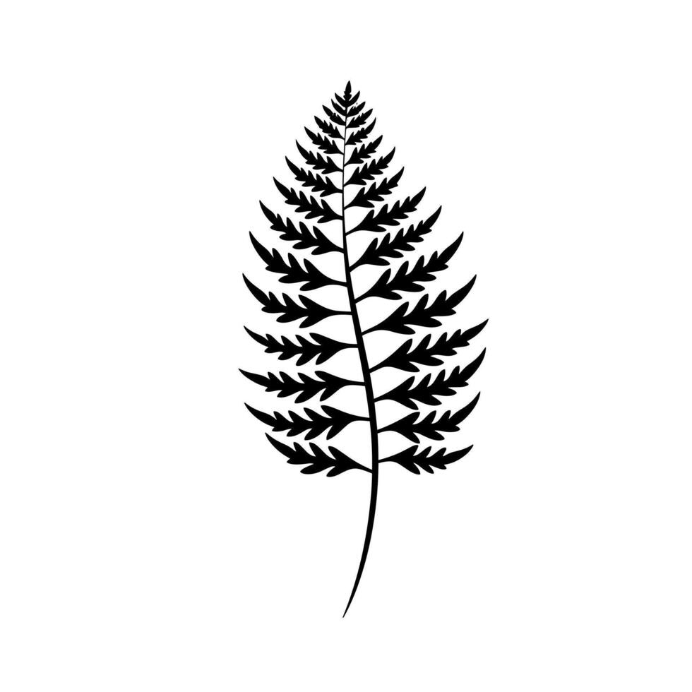 Detailed black silhouette of a fern leaf against a clean white background for artistic designs vector