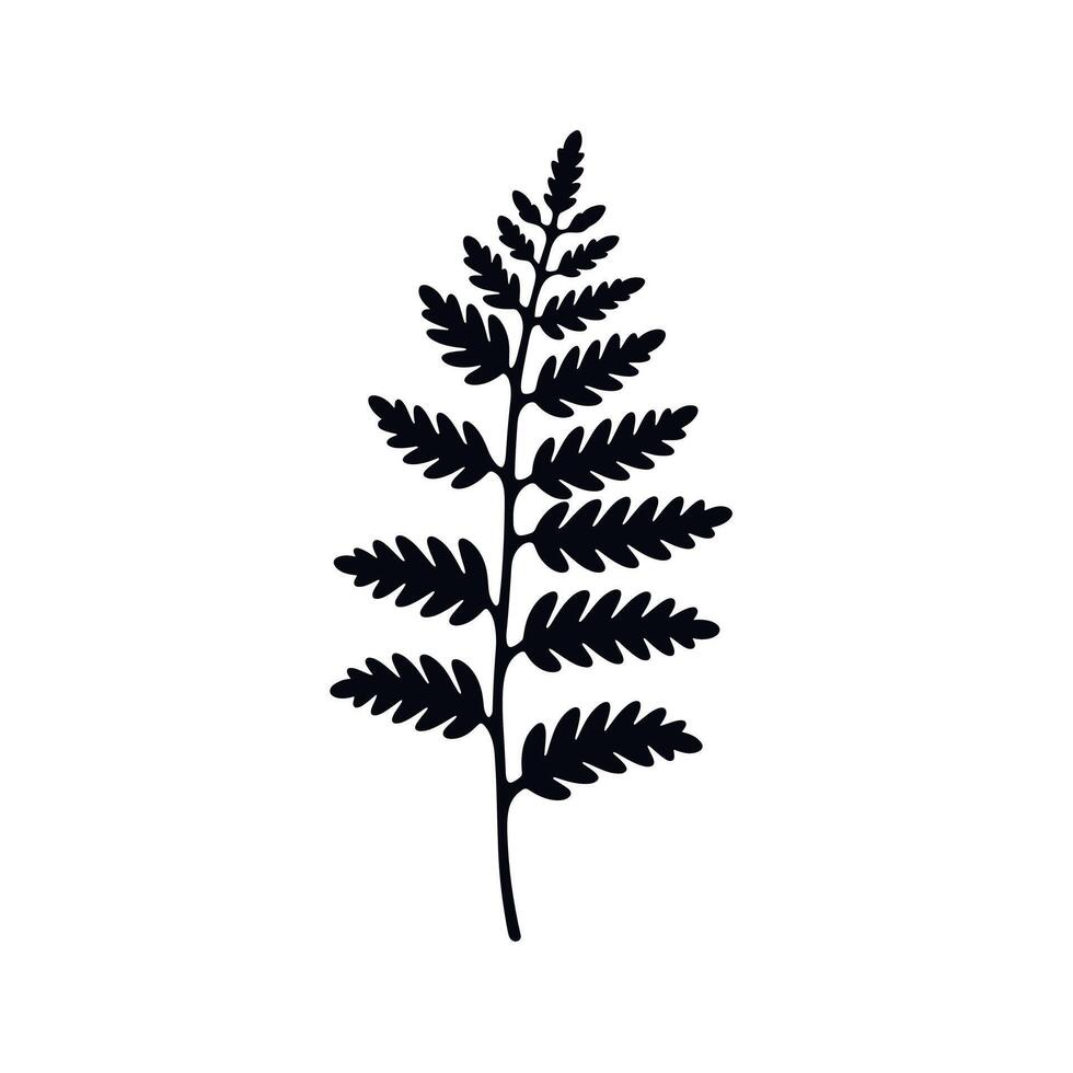 Lush green fern leaf showcasing natural beauty and intricate patterns vector
