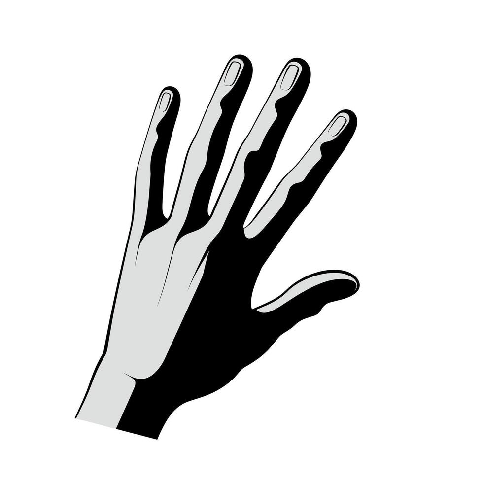 Artistic representation of a hand showing contrasting light and shadow effects vector