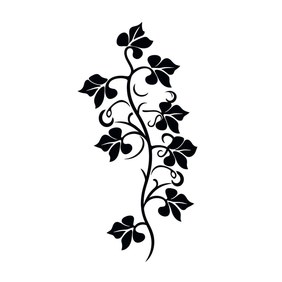 Elegant black vine design with leaves and curls ideal for decoration vector