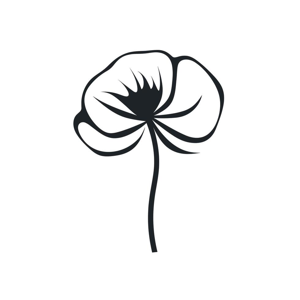Black and white illustration of a cotton flower on a simple background vector