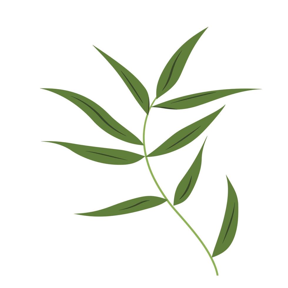 Green leafy branch with multiple slender leaves on a plain background in a minimalist style vector