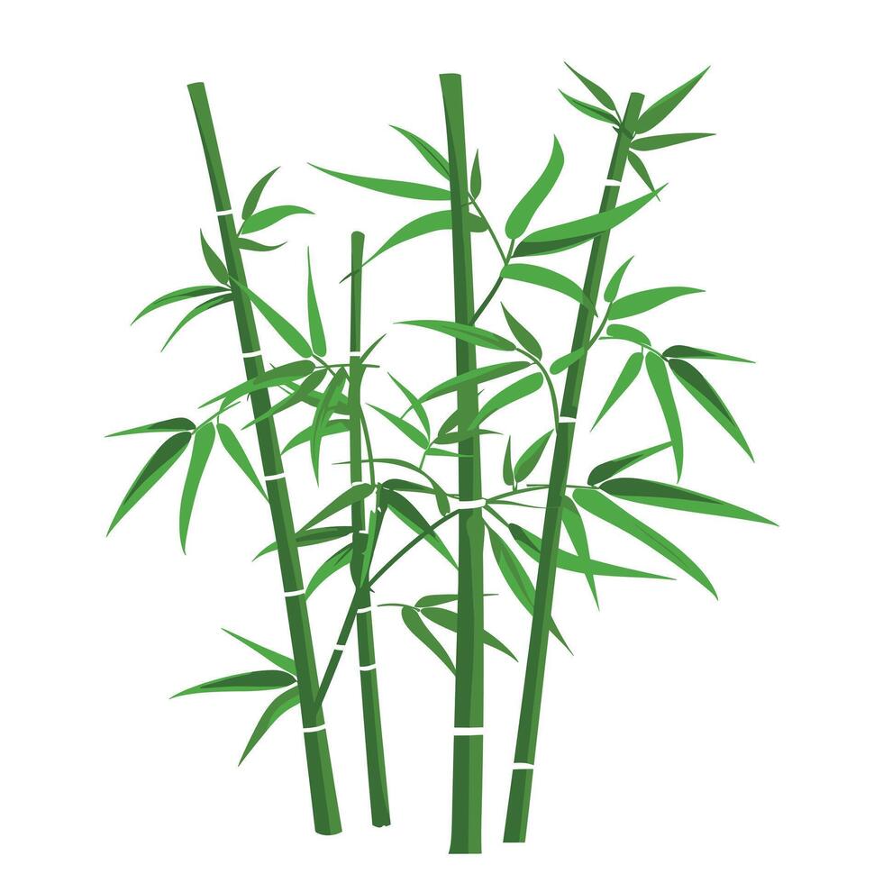 Green bamboo stalks with leaves create a lush tropical feel in a light background vector
