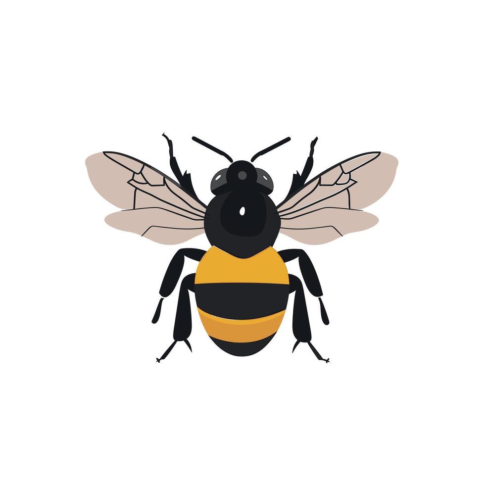 Colorful illustration of a bee with detailed patterns and wings in a simple design vector