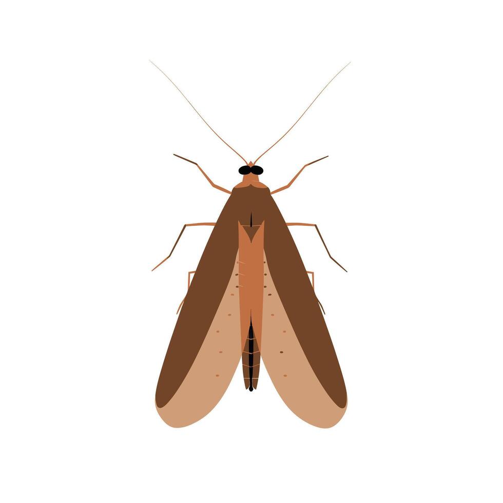 Detailed illustration of a moth showcasing its unique features and colors in a natural context vector