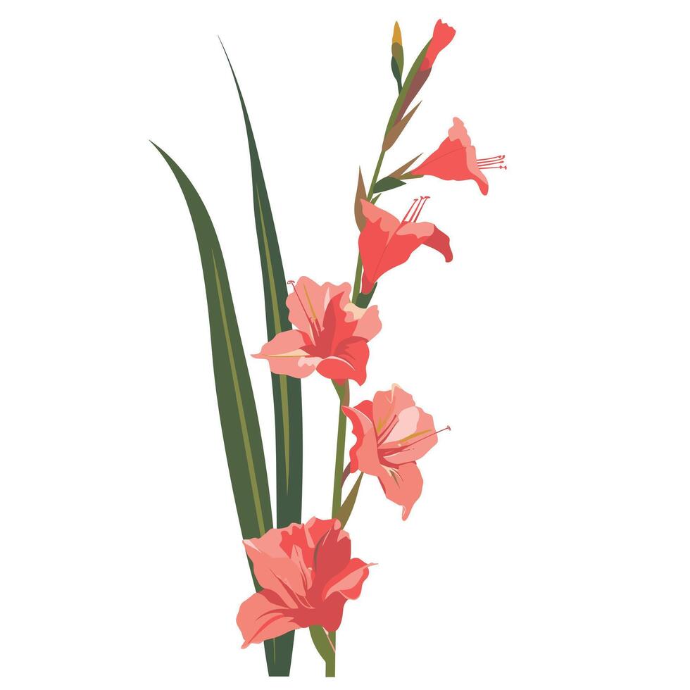 Beautiful gladiolus flowers in vibrant colors showcasing nature's elegance and charm vector