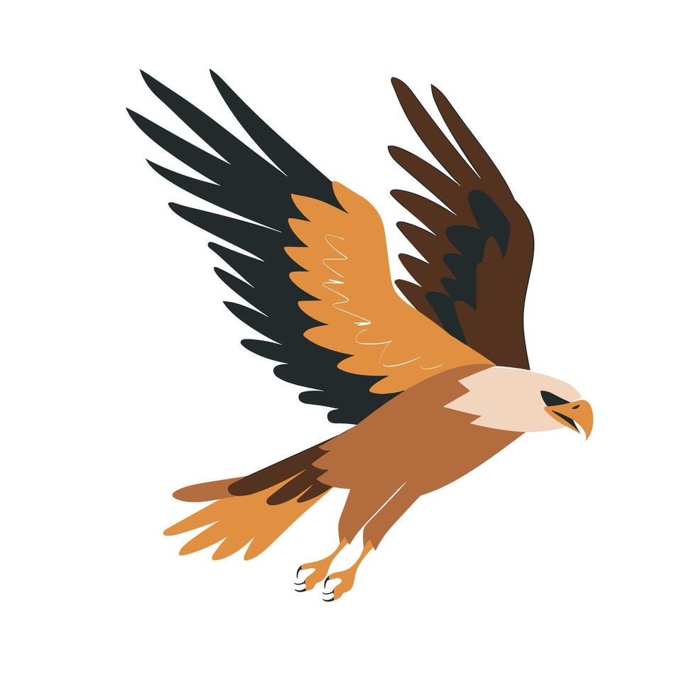 Majestic bird of prey soaring high against a clear sky vector