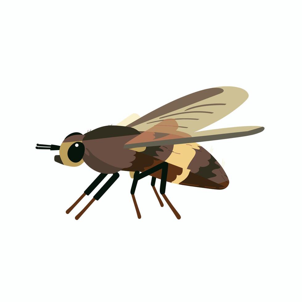 Bee with distinctive brown and yellow body resting with wings unfolded vector