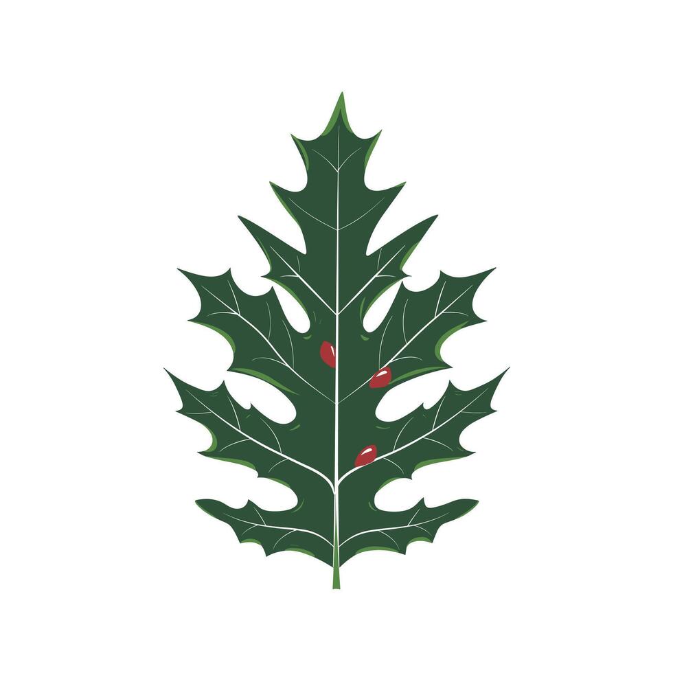 Unique green leaf with red berries displayed against a plain background vector