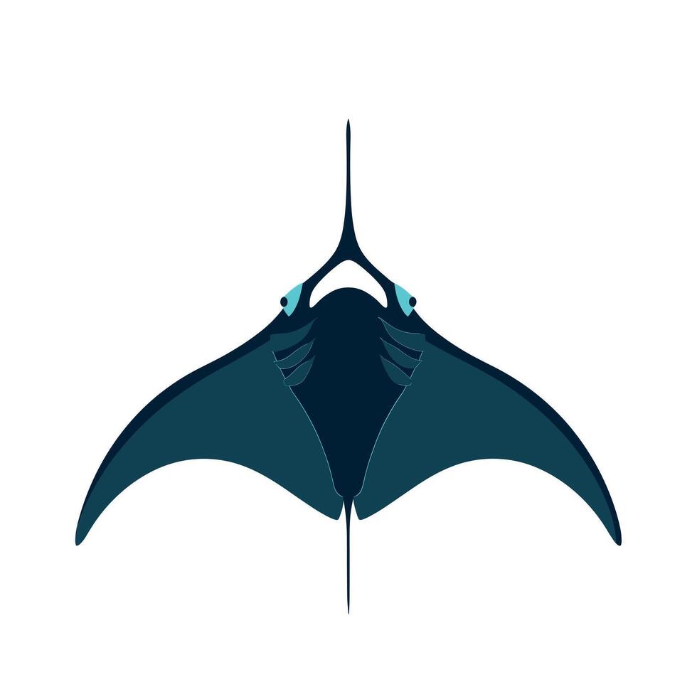 Manta ray gliding gracefully through turquoise waters in a tropical ocean vector