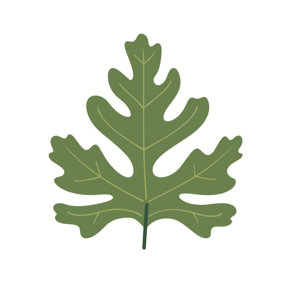 Green leaf with distinctive shape isolated on white background showcasing natural beauty vector