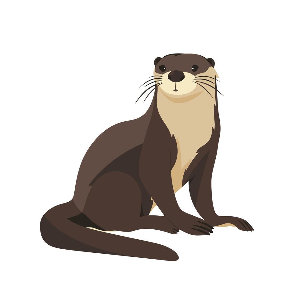 Cute otter sitting and looking curiously at the viewer in a simple illustration vector