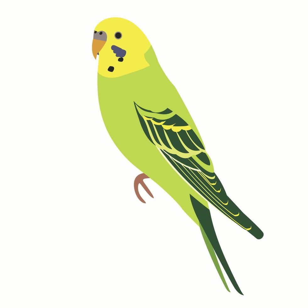 Bright green budgerigar perched quietly against a light background vector
