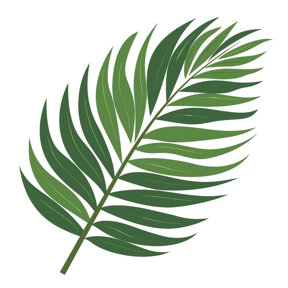 Tropical green palm leaf showcasing intricate patterns and vibrant hues of nature vector