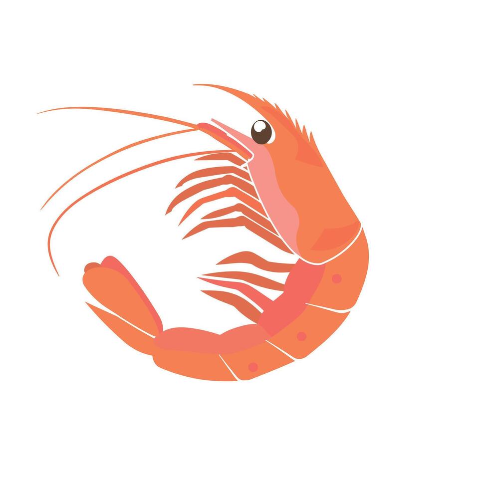 Brightly colored shrimp illustration with detailed features and lively posture vector