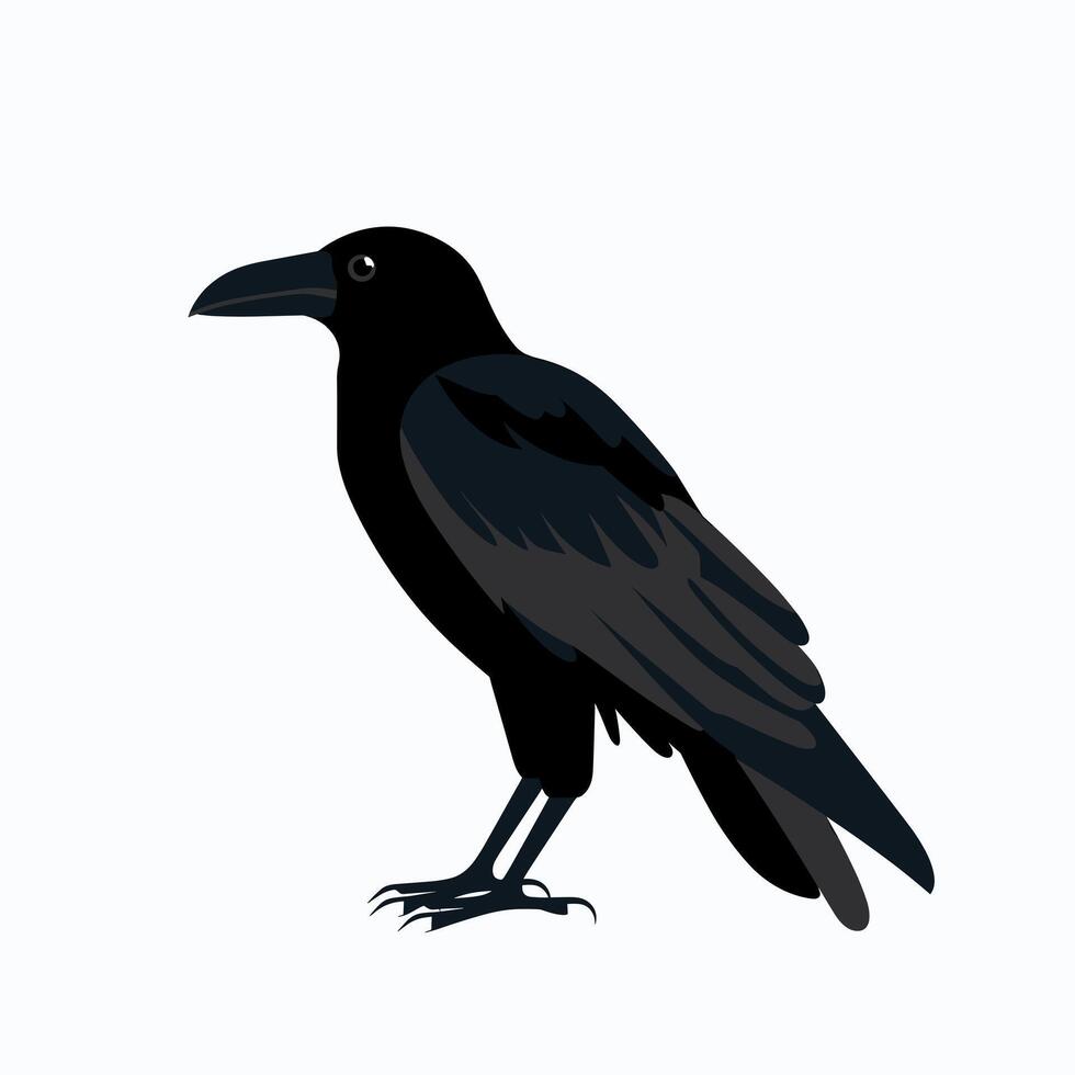 Black raven perched in profile view with detailed feather texture on a white background vector