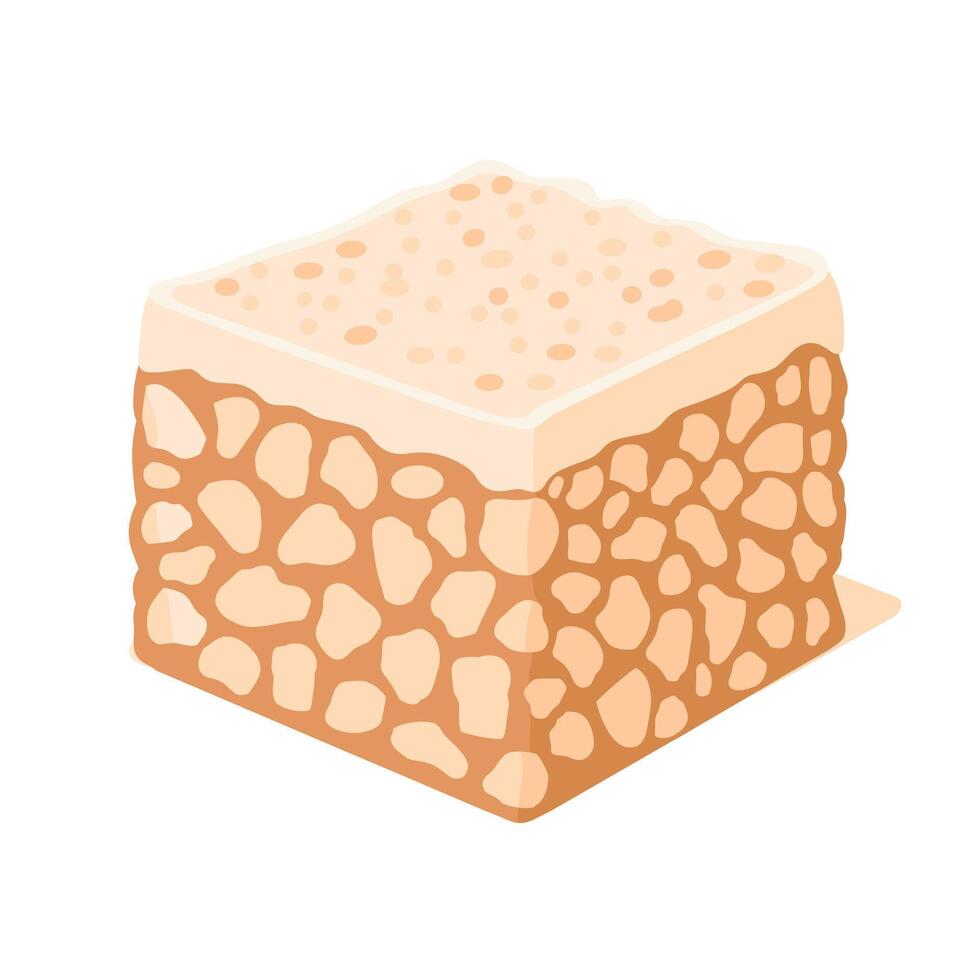 Sweet treat made from crispy sugar and nuts in a square shape vector