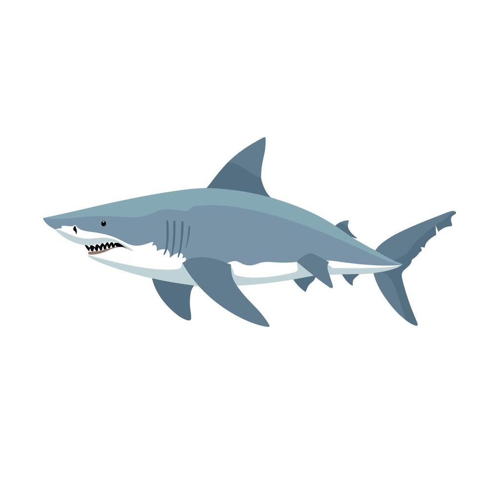 Cartoon illustration of a gray shark swimming in the ocean vector