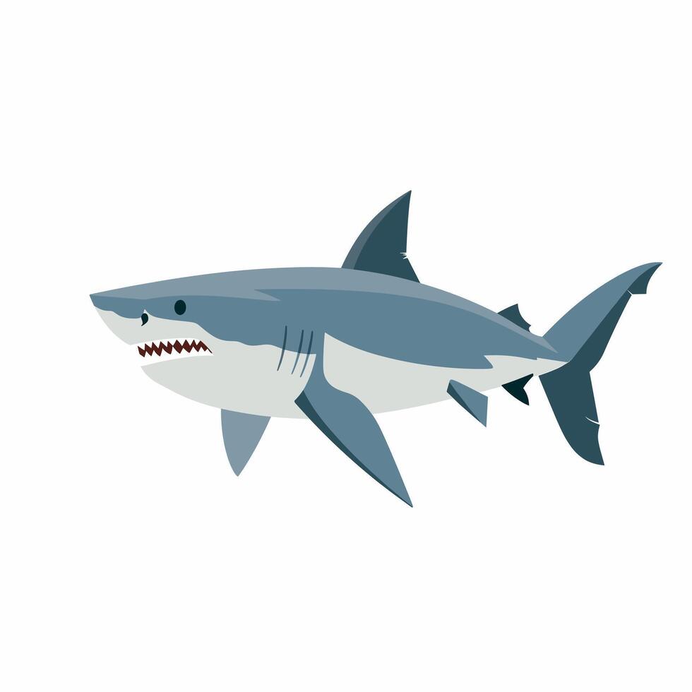Shark swimming through the ocean, showcasing its powerful build and sharp teeth vector