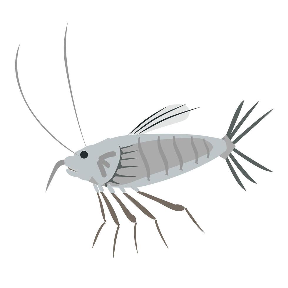 Detailed representation of a shrimp with fine features and textures vector