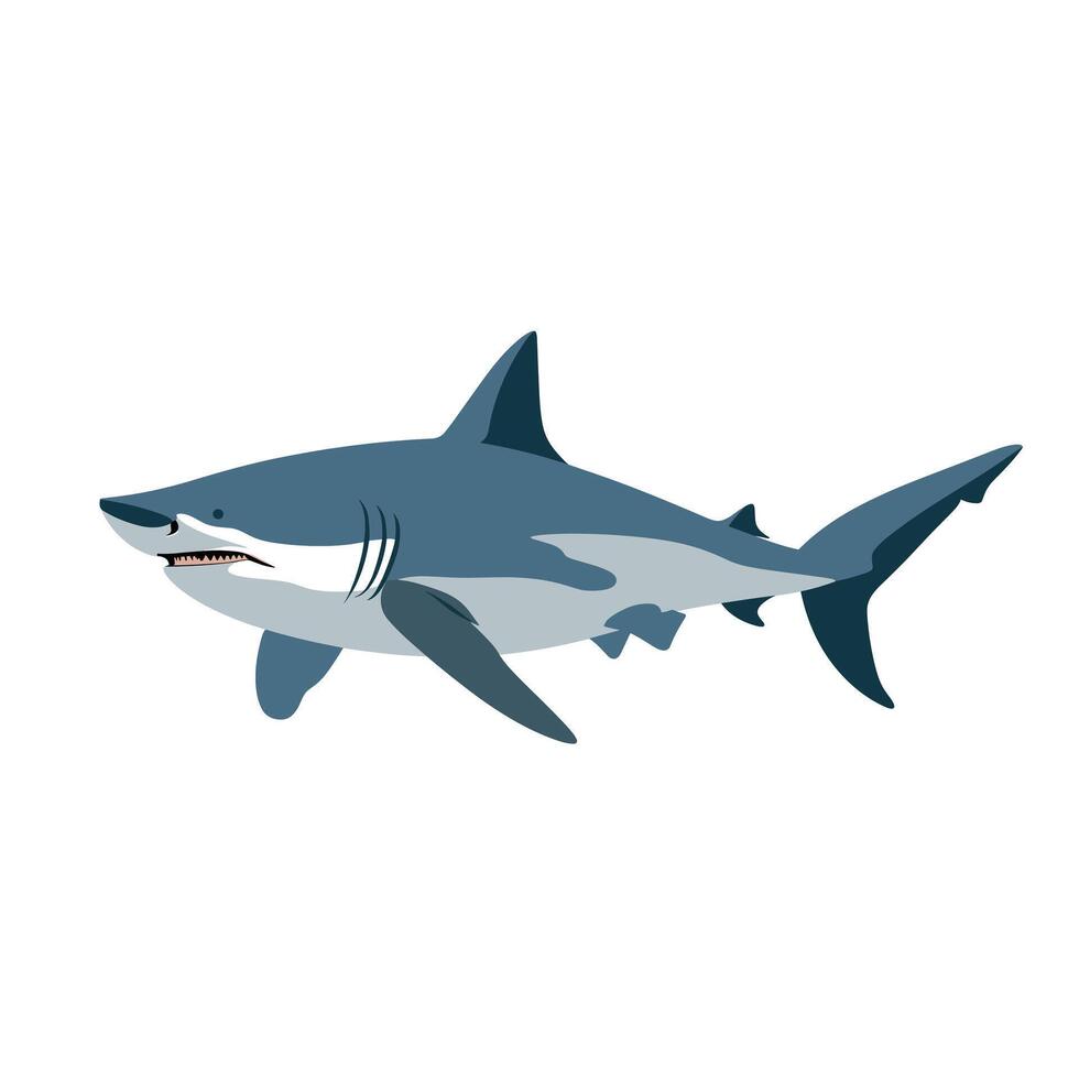 Realistic depiction of a great white shark swimming in the ocean vector