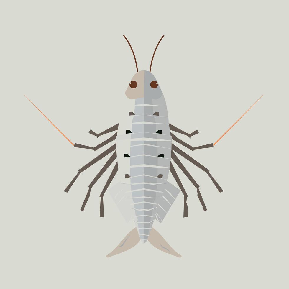 Illustration of a detailed marine shrimp in natural colors with distinct features vector
